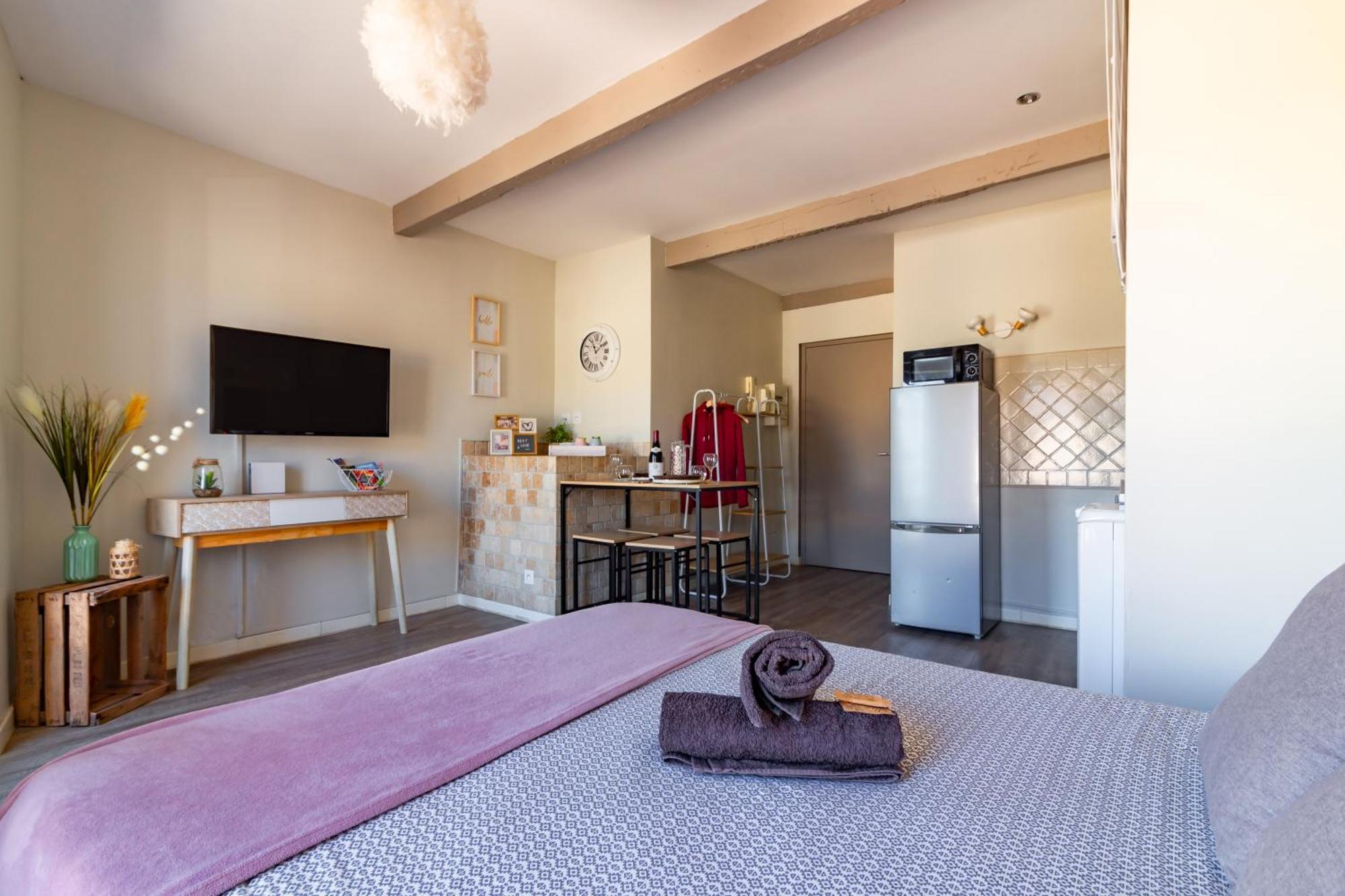 Au Pied Du Grand Bassin Apartamento Castelnaudary Exterior foto